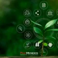 Como funciona um processo criminal ambiental